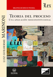 TEORIA DEL PROCESO. UNA APLICACION NEOCONSTIT